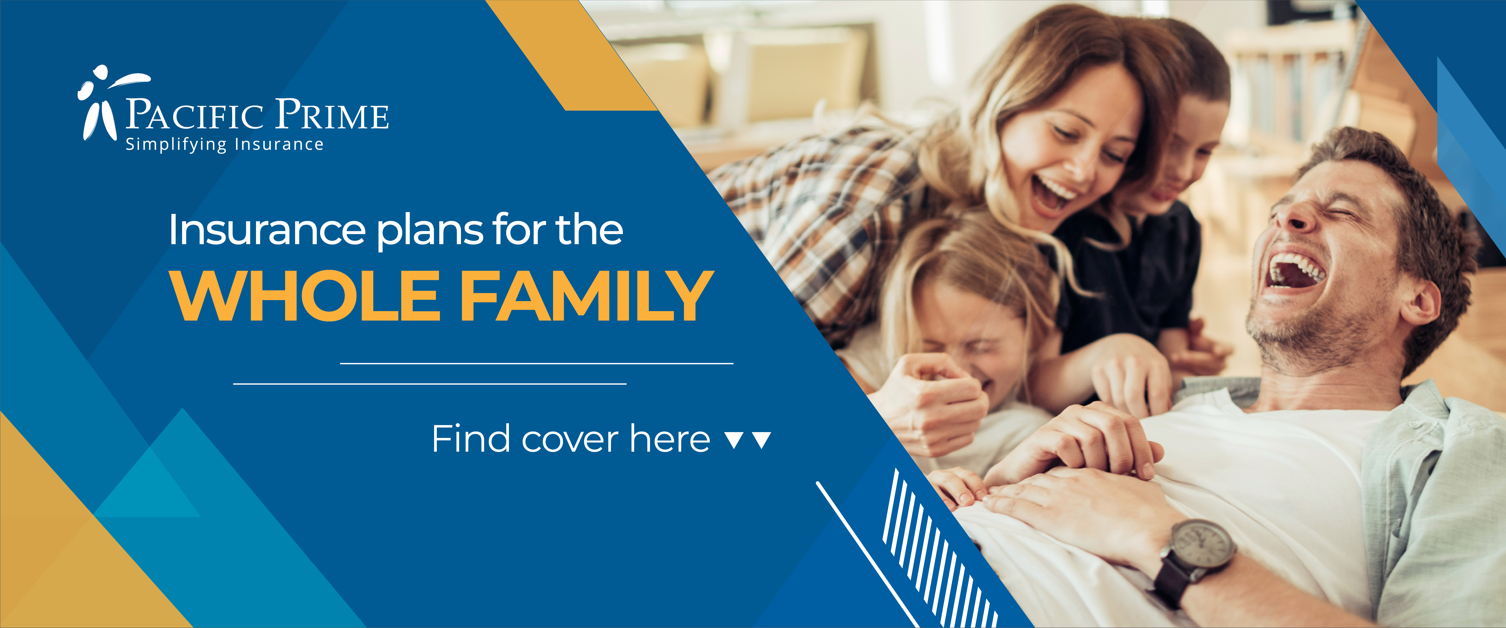 Family insurance banner